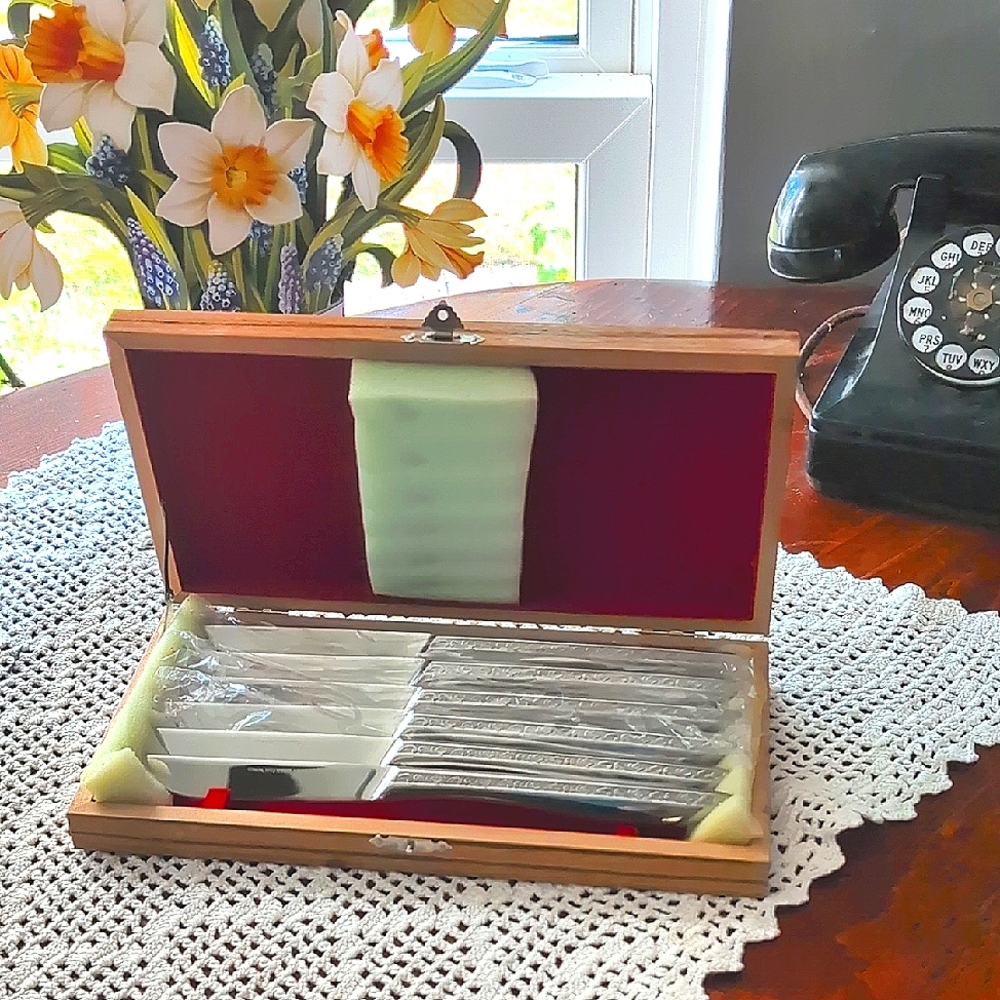 Elegant VINTAGE Knife Set in Wooden Box * Stainless Steel * Fashion Manor
